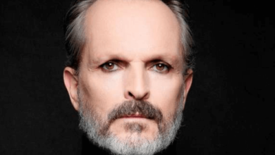 Miguel Bosé Net Worth