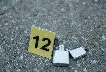 fraud risk assessment investigation