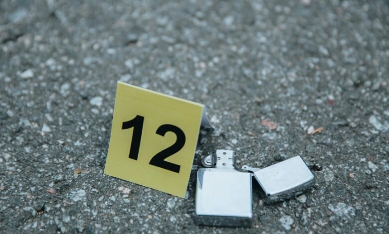 fraud risk assessment investigation