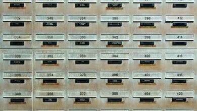 search hotline contact numbers